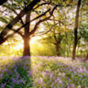 Meet your Posher, Keith